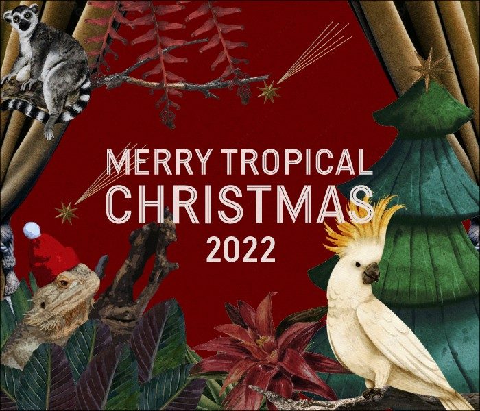 MERRY TROPICAL CHRISTMAS 2022