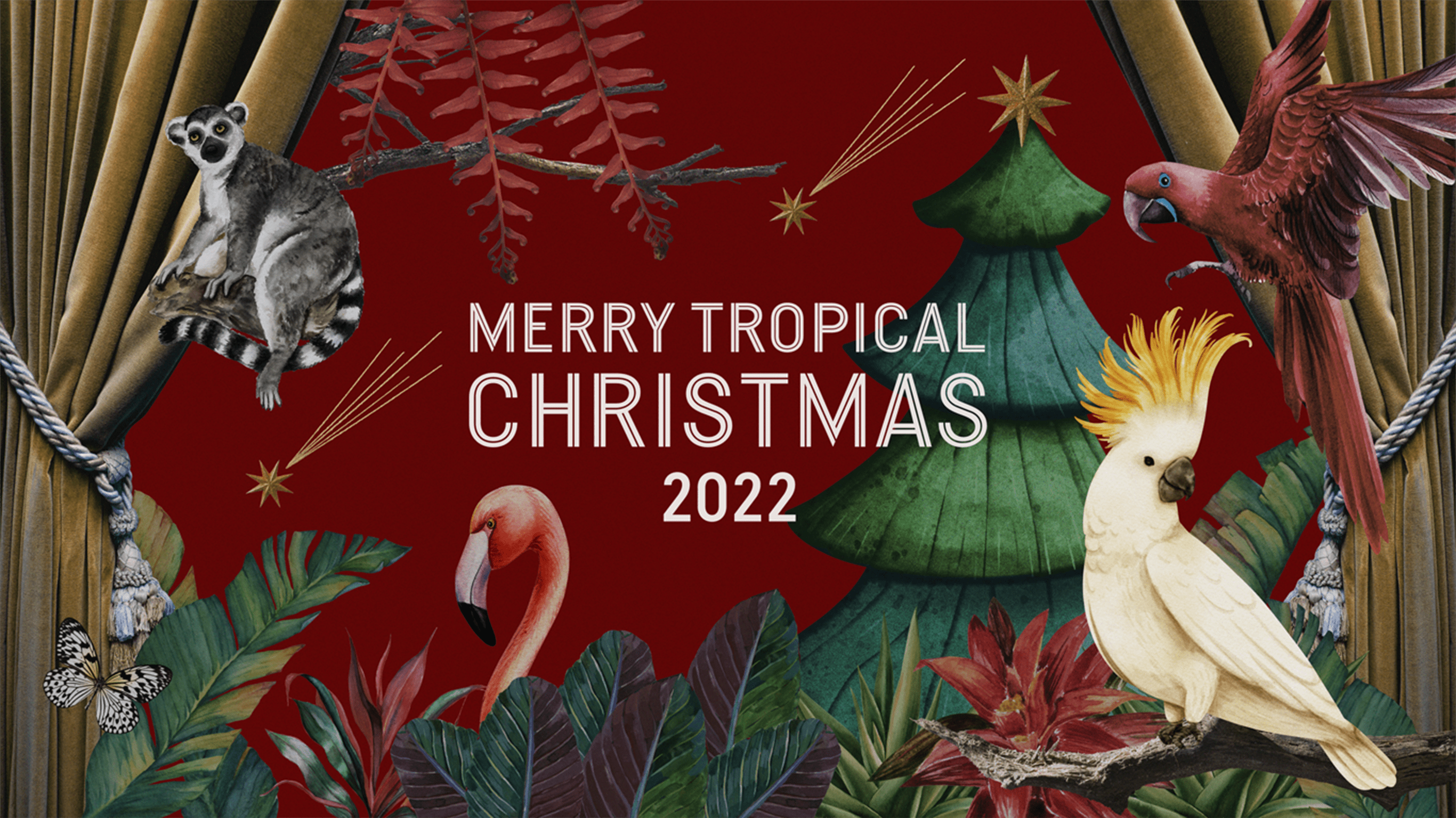 MERRY TROPICAL CHRISTMAS 2022