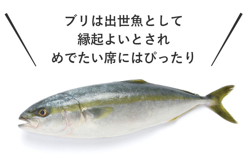 ブリ
