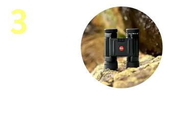 もうすぐ大型連休。心が踊る旅のお供を探して。