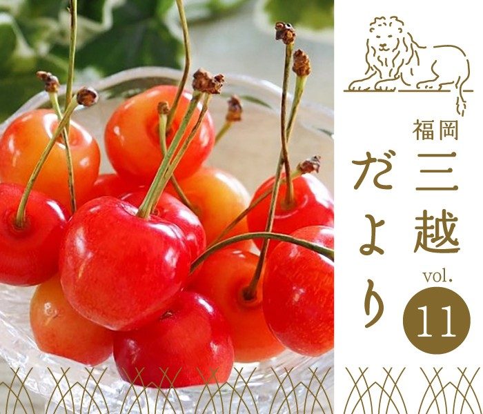 Vol11. 夏の風情を感じる