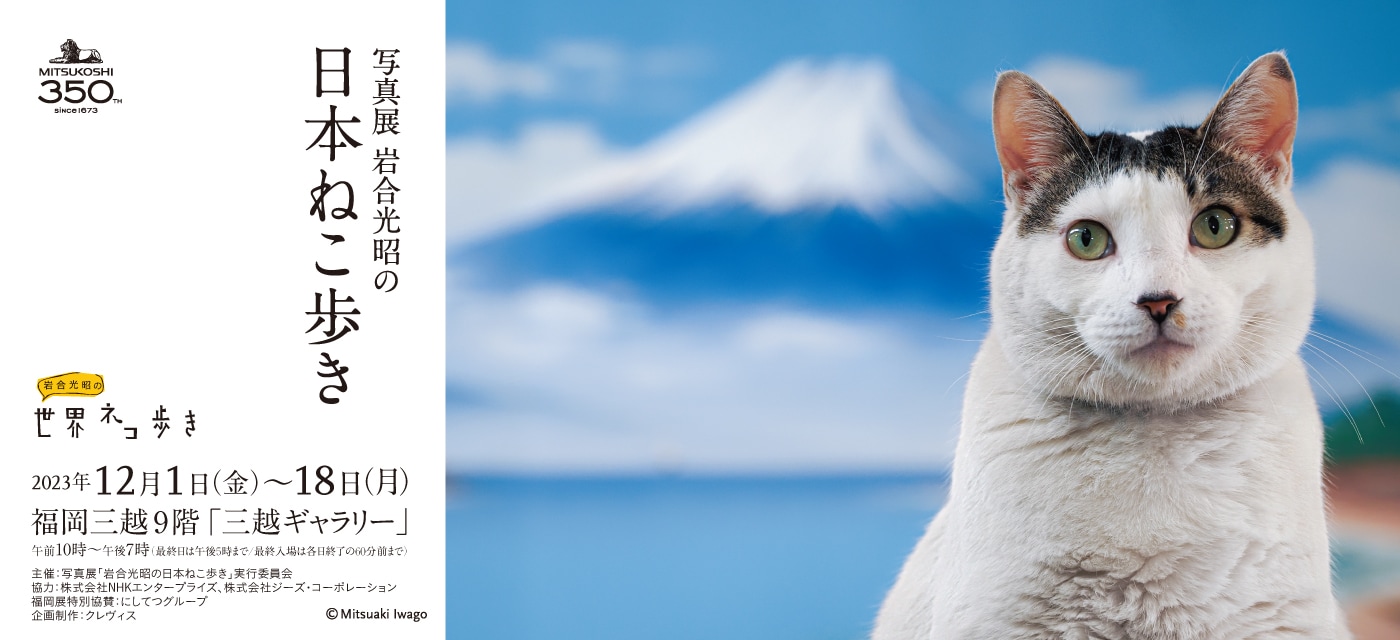 岩合光昭の日本ねこ歩き