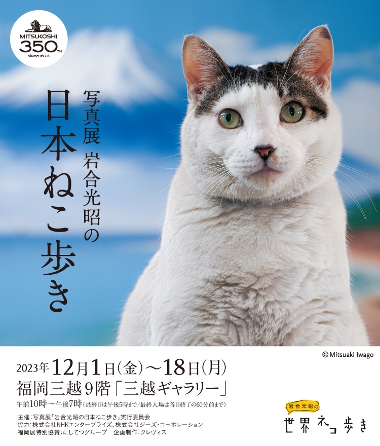 岩合光昭の日本ねこ歩き