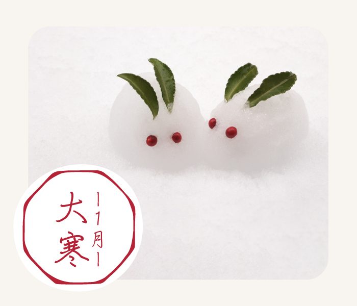 ショップニュース画像