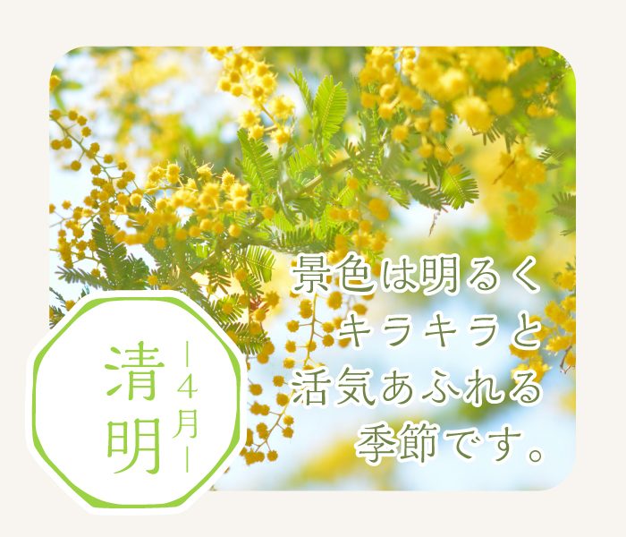 ショップニュース画像