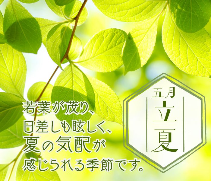 季節のお便り　～立夏～