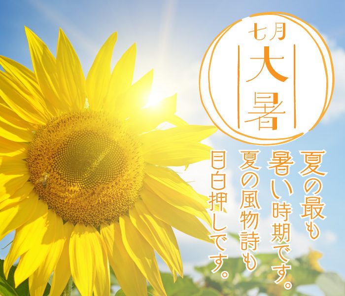 ショップニュース画像