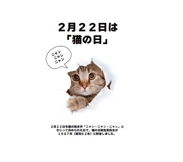 ショップニュース画像