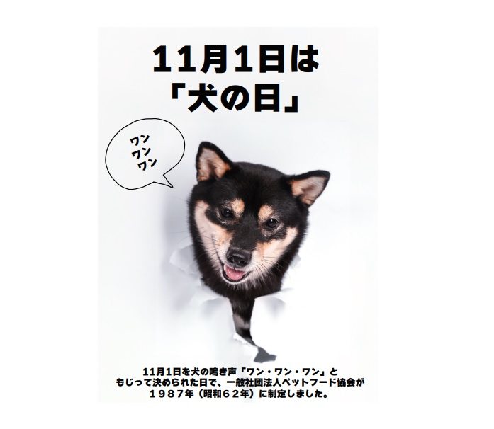ショップニュース画像
