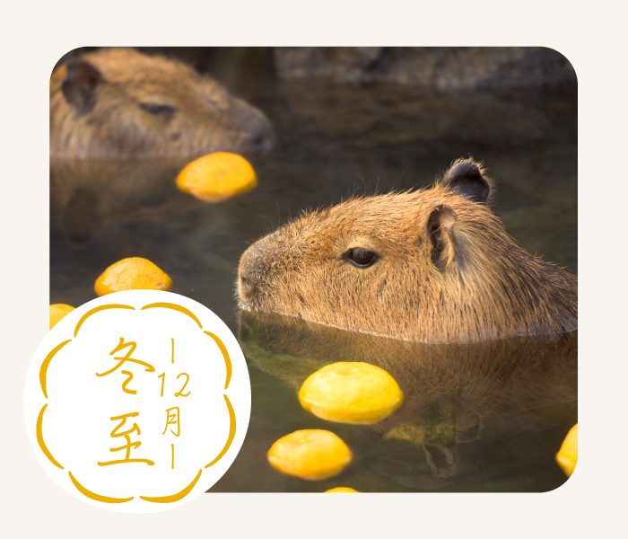 ショップニュース画像