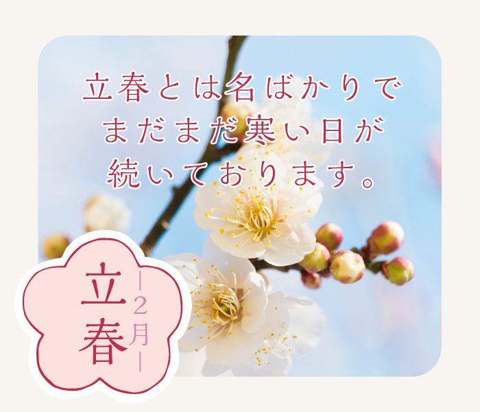 ショップニュース画像