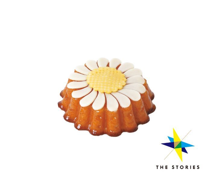 THE STORIES ＜ホレンディッシェ・カカオシュトゥーベ＞
  
  
  