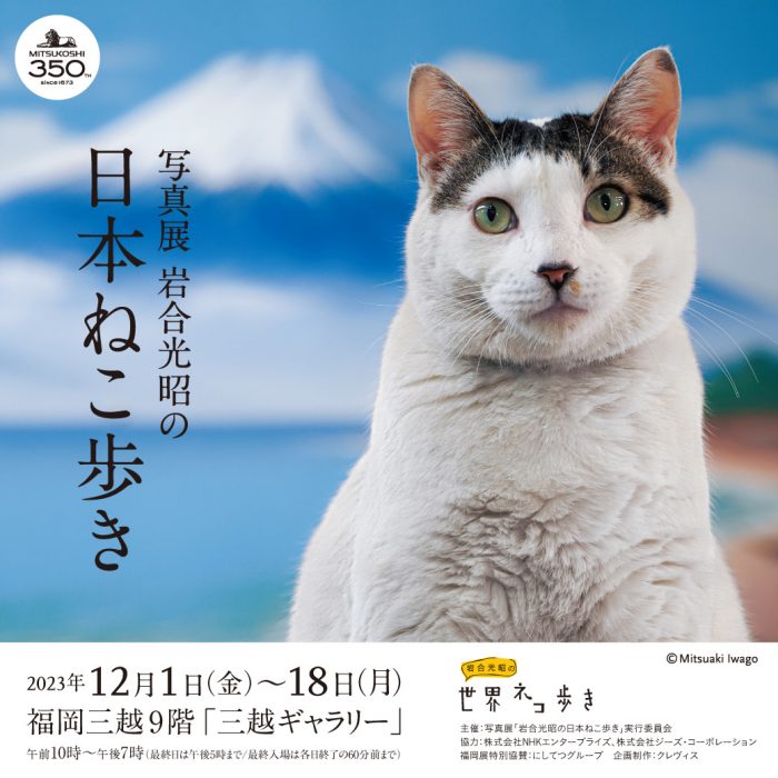 【写真展】岩合光昭の日本ねこ歩き