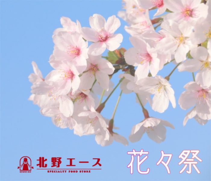 ショップニュース画像