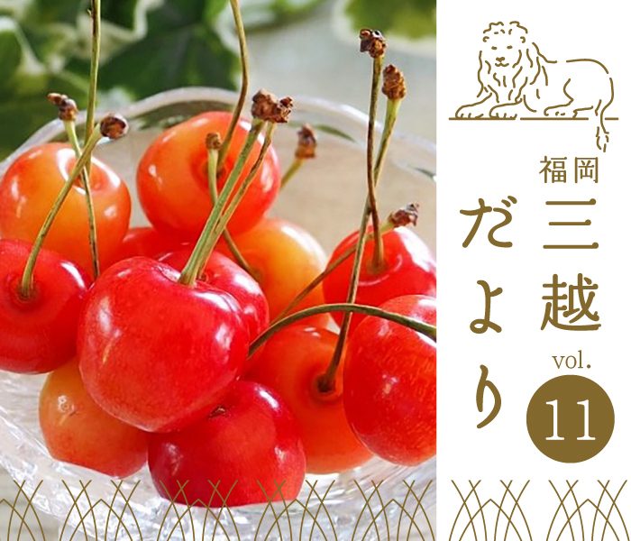 ショップニュース画像